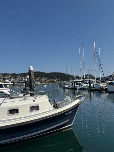 Skyline Moorage - Specializing in Moorage Sales
