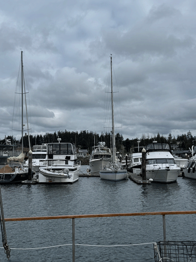 Skyline Moorage - Specializing in Moorage Sales