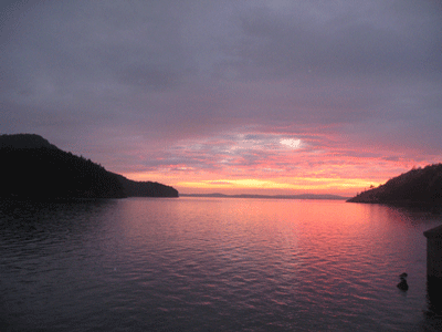 Burrows Bay sunset
